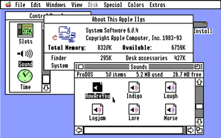 r mac os x view fortran source code